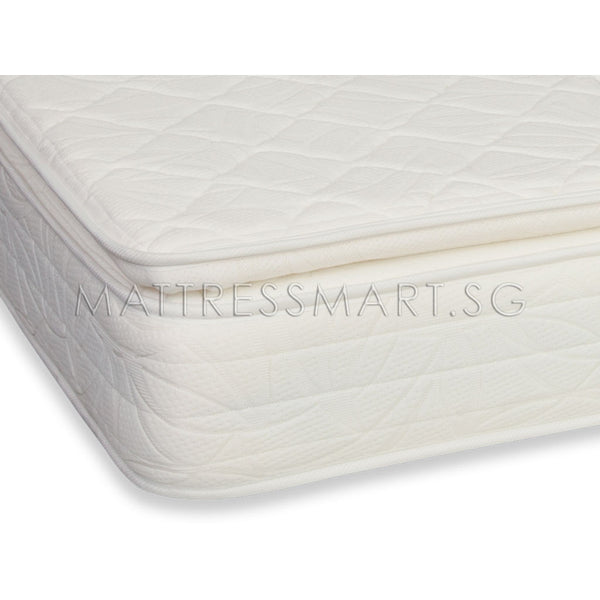 Magic Koil Grand Palais Pillow Top Mattress