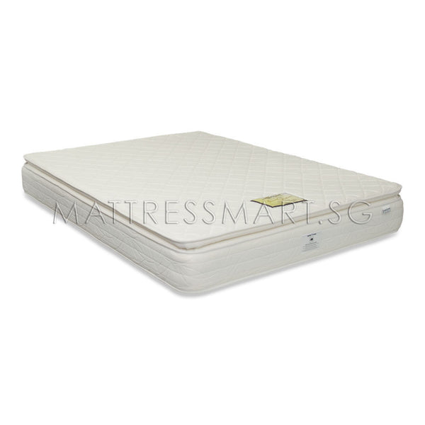 Magic Koil Grand Palais Pillow Top Mattress