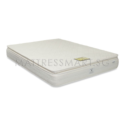 Magic Koil Grand Palais Pillow Top Mattress